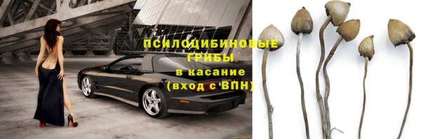 прущая мука Алексин