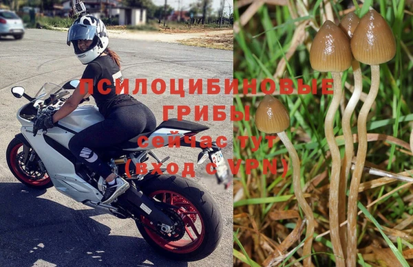кокаин перу Алзамай