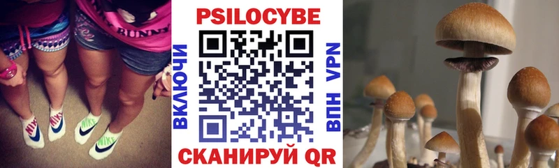 наркошоп  Пустошка  Псилоцибиновые грибы прущие грибы 